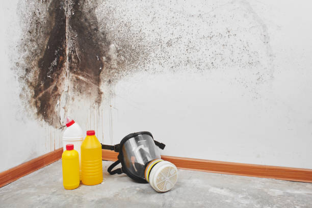 Water Damage Restoration in Lakewood, WA