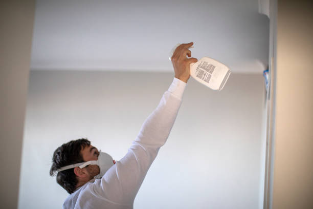 Lakewood, WA Mold Removal Company