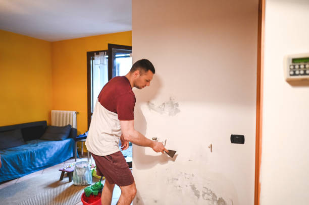 Best Attic Mold Removal  in Lakewood, WA